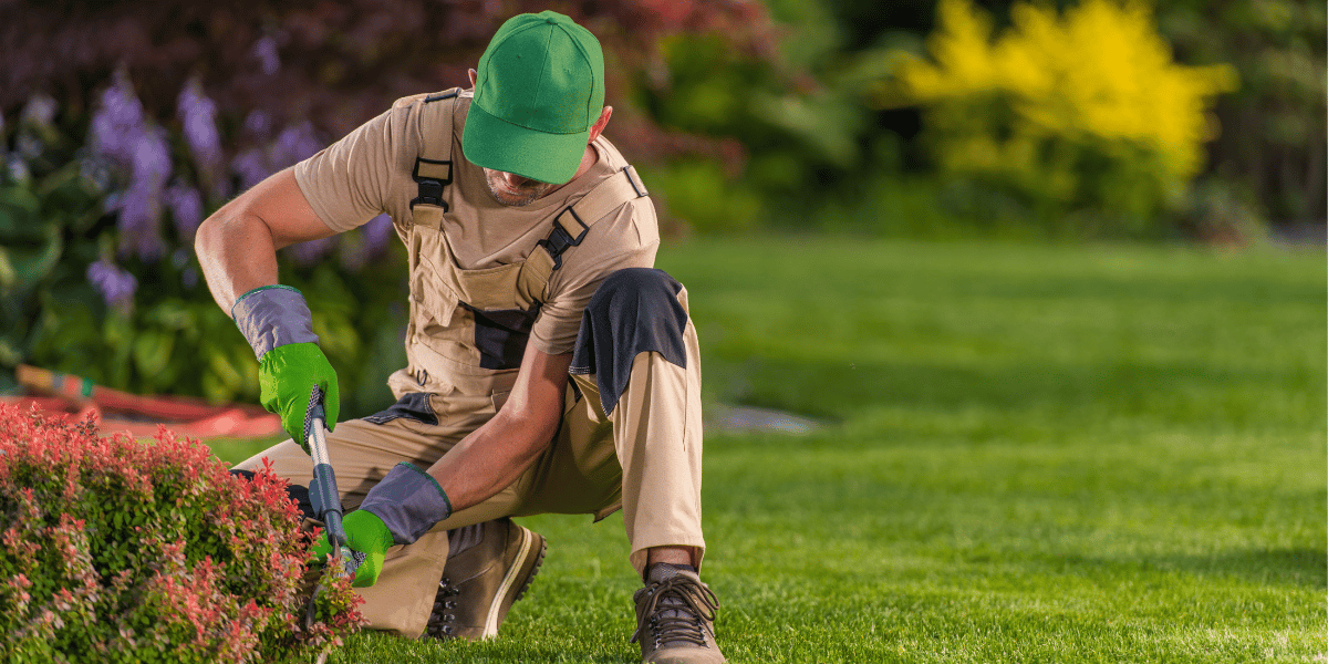 The Best Times Of The Year To Trim Shrubs Got Odd Jobs